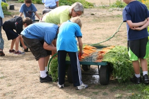 Children cleaning carrots